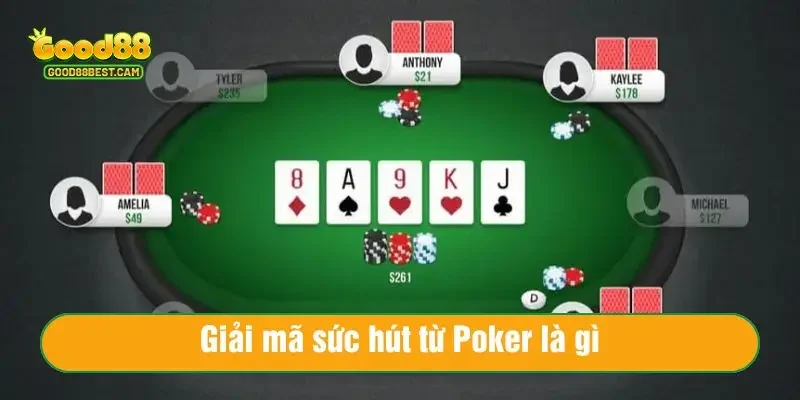 Poker Là Gì? Giải Mã Luật Chơi Và Cách Đánh Poker A-Z Cho Người Mới 2 Giải mã sức hút từ Poker là gì?
