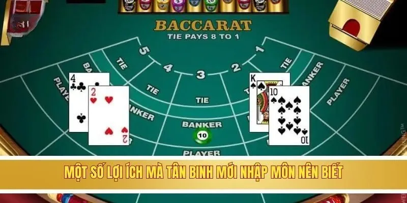 Một số lợi ích mà tân binh mới nhập môn nên biết