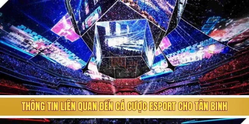 Cá Cược Esports - Cập Nhật Các Lưu Ý Khi Chơi Tại GOOD88 2 Thông tin liên quan đến cá cược esport cho tân binh